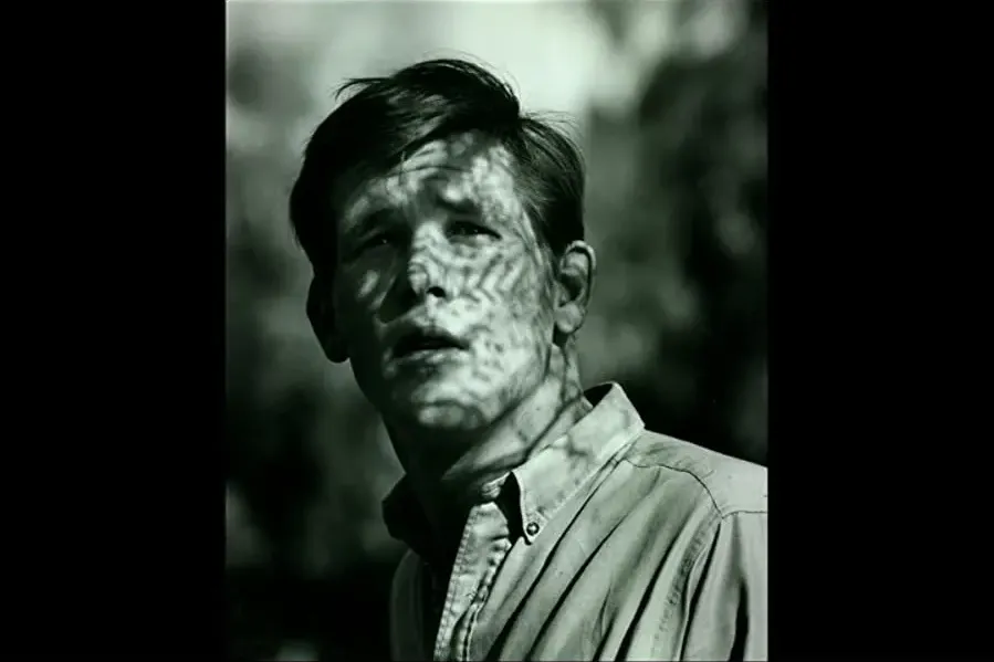Darmowe filmy