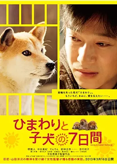 Himawari to koinu no 7-kakan