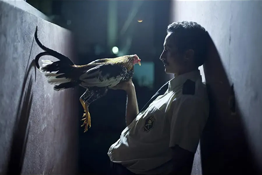 Por las plumas online