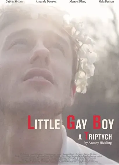 Little Gay Boy - Tryptyk