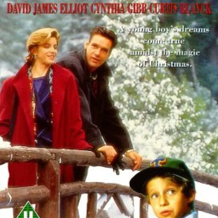 Holiday Affair online