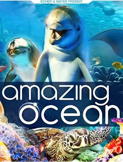 Amazing Ocean 3D