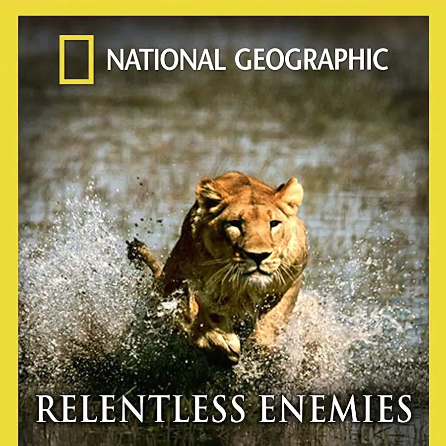 Relentless Enemies online