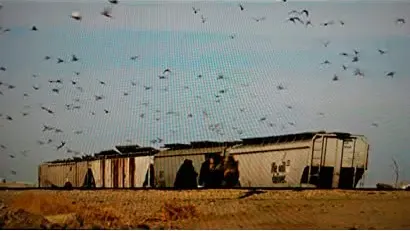 American Nomads