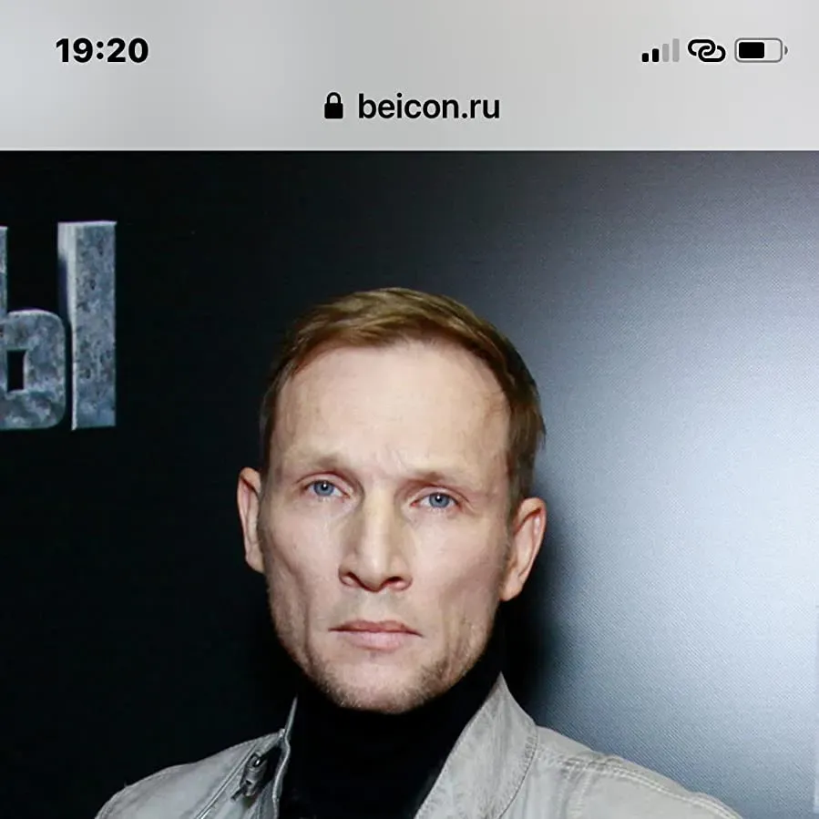 Schilf online