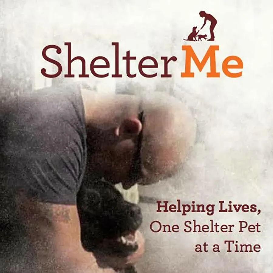 Shelter Me online