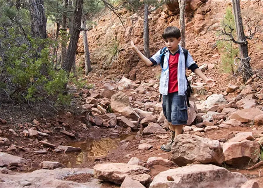 Sedona online