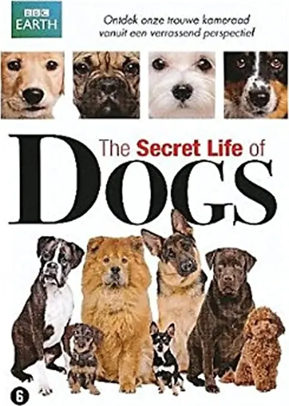 Secret Life of Dogs online