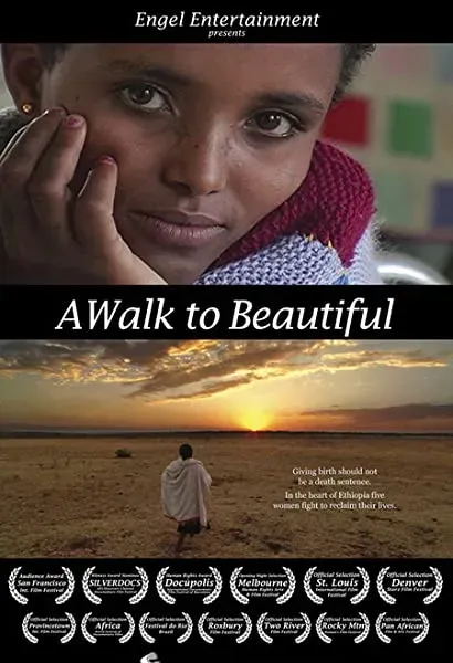 A Walk to Beautiful