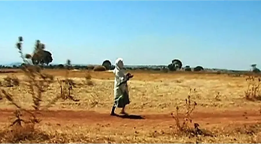 A Walk to Beautiful online