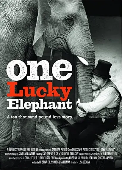 One Lucky Elephant