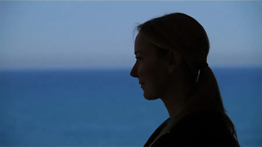 The Director: An Evolution in Three Acts online