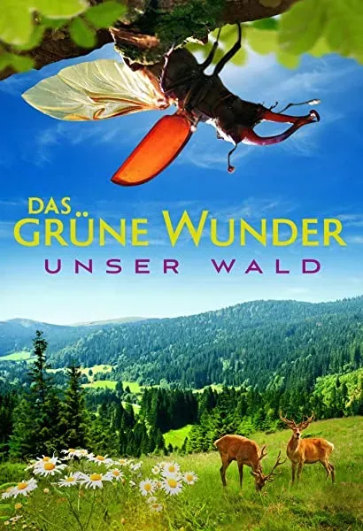 Das grüne Wunder - Unser Wald