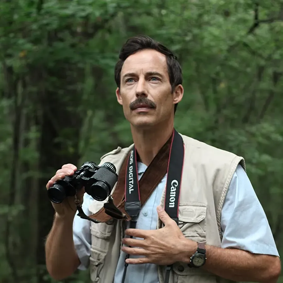 The Birder online