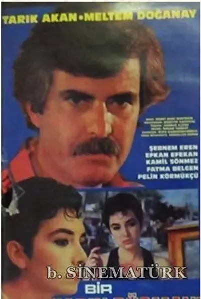 Bir kadin düsmani