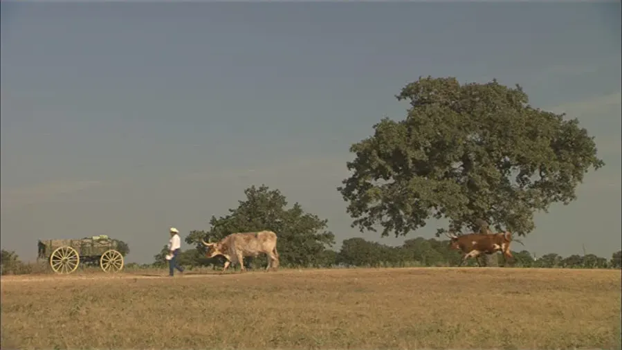 Wild Horse, Wild Ride online