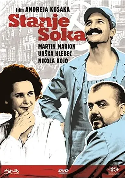 Stanje soka