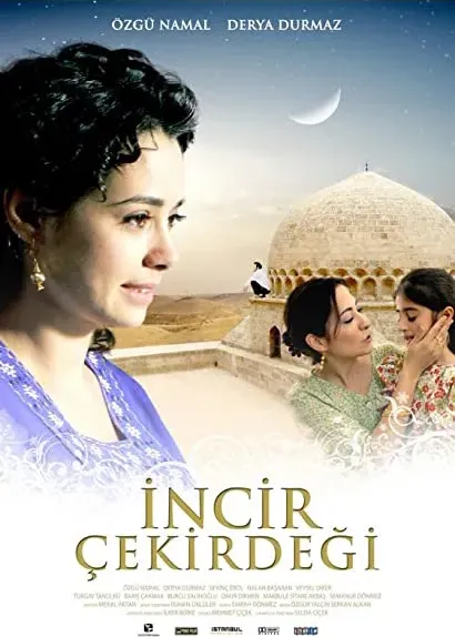 Incir çekirdegi