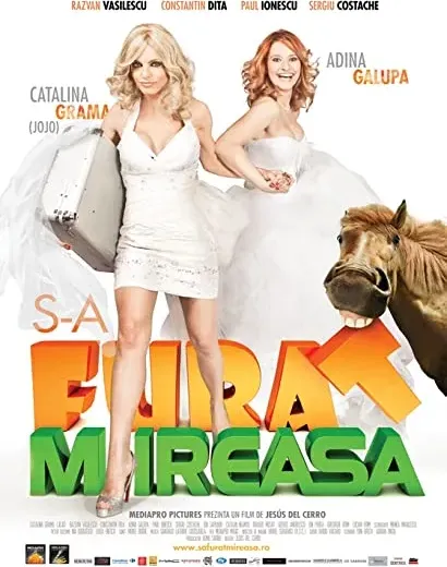 S-a Furat Mireasa