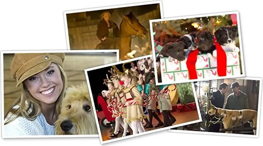 12 Dogs of Christmas: Great Puppy Rescue online