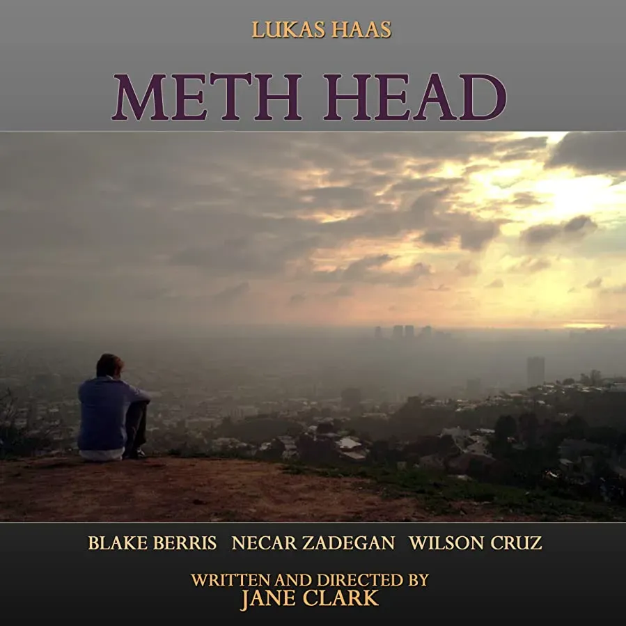 Meth Head online