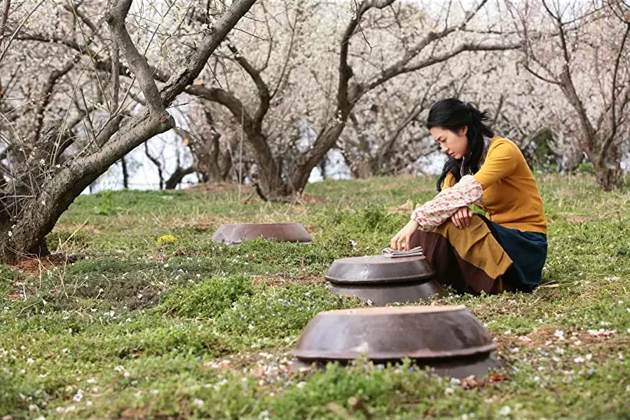 Doenjang online