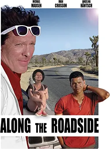 Along the Roadside