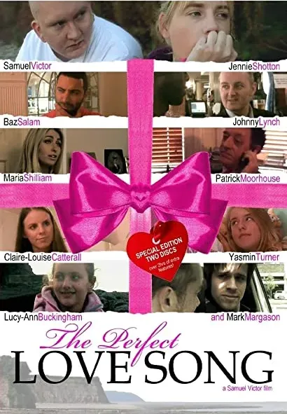 The Perfect Love Song