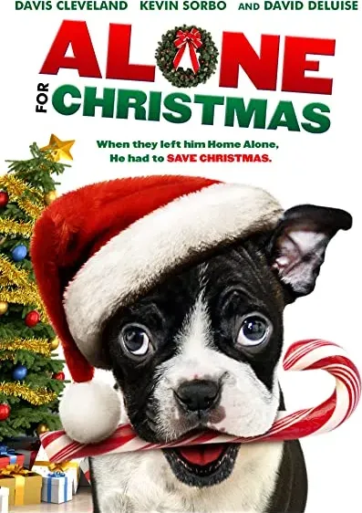 Alone for Christmas