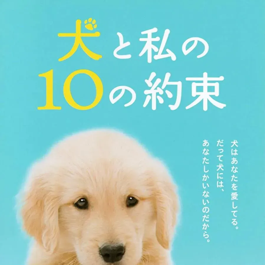Inu to watashi no 10 no yakusoku online