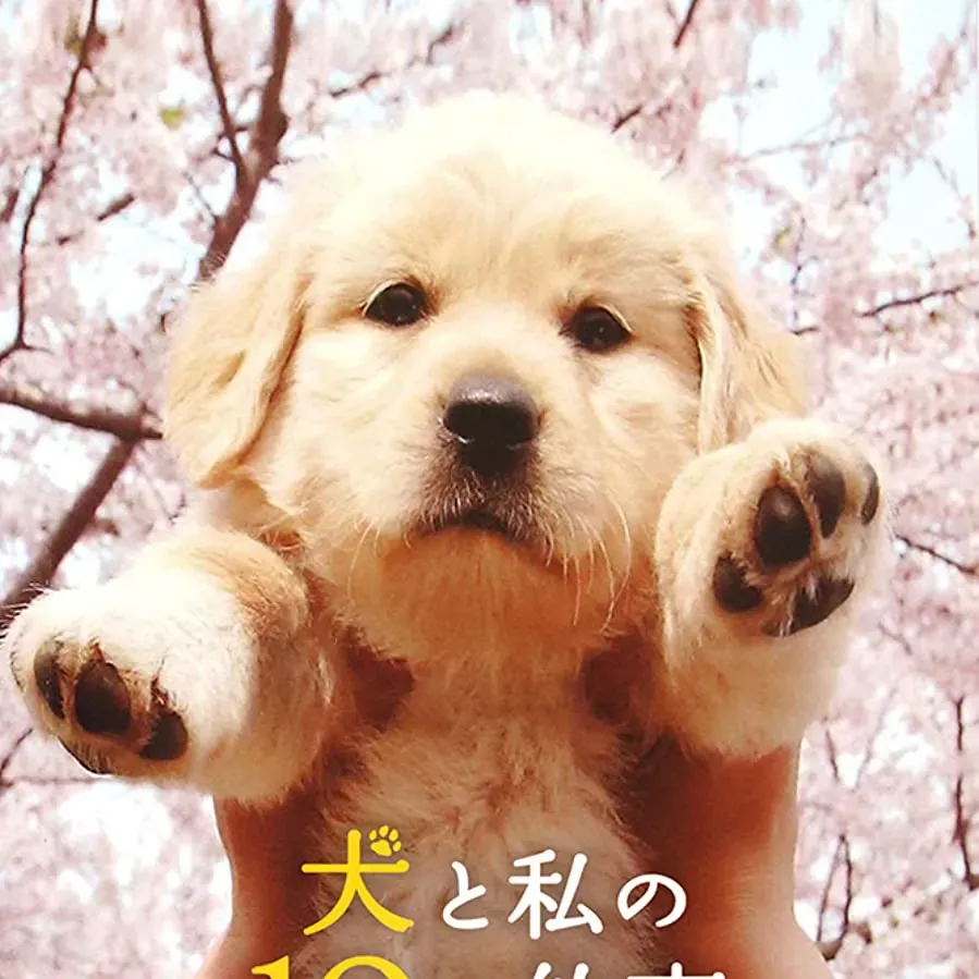 Inu to watashi no 10 no yakusoku online