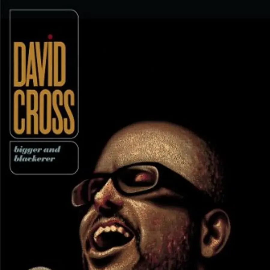 David Cross: Bigger & Blackerer online