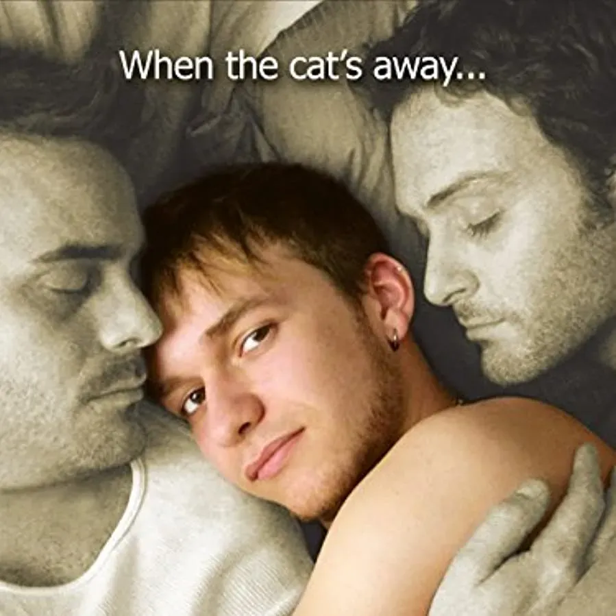 The Houseboy online