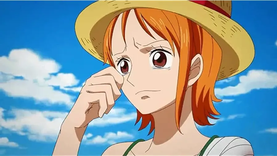 One Piece: Episode of Nami - Koukaishi no Namida to Nakama no Kizuna online