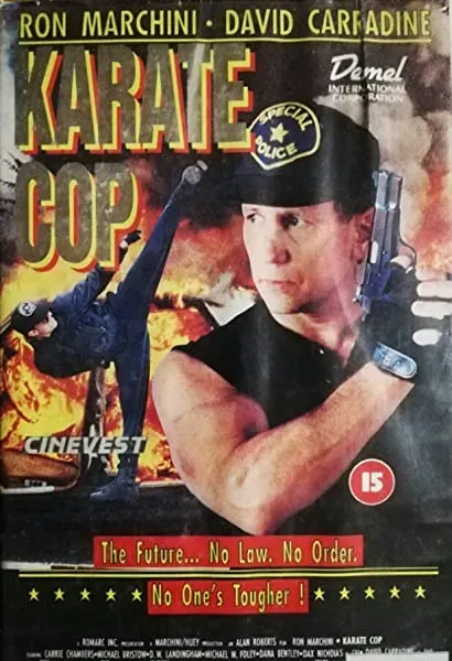 Gliniarz karateka