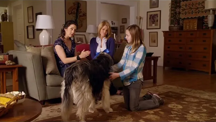 Puppy Love online