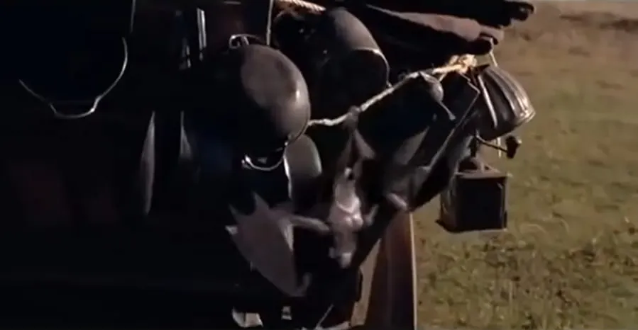 Bats: Human Harvest online