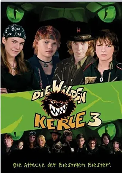 Die Wilden Kerle 3