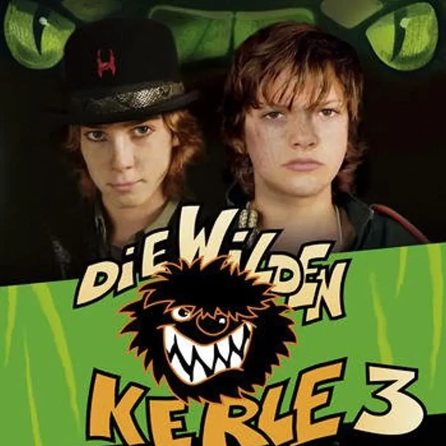 Die Wilden Kerle 3 online
