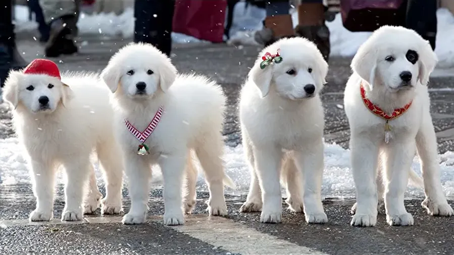 Santa Paws 2: The Santa Pups online