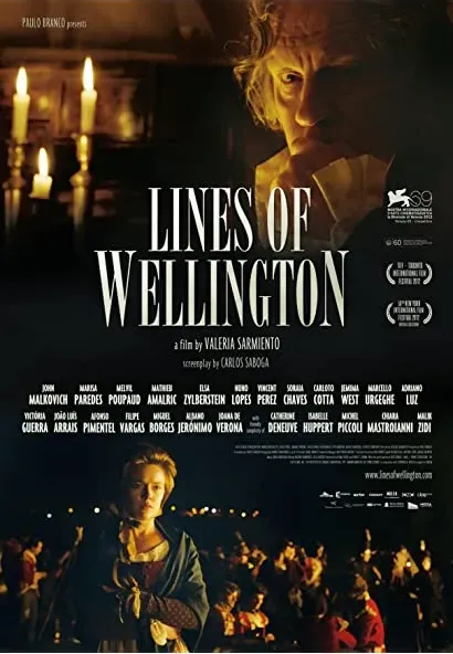 Linie Wellingtona