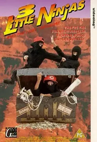Little Ninjas