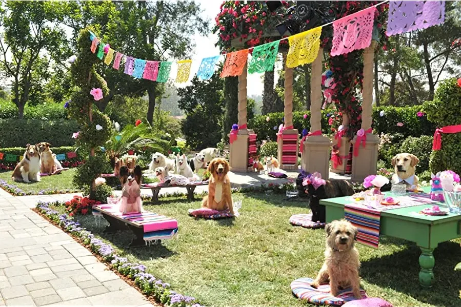 Cziłała z Beverly Hills 3: Viva la Fiesta! online