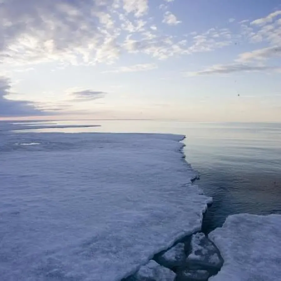 Arctic Tale online