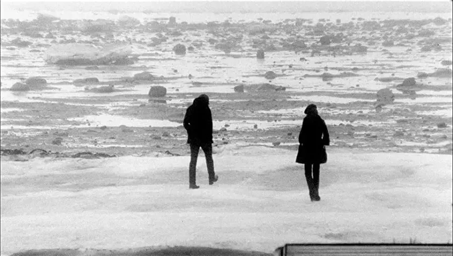 The White Stripes: Pod zorza polarna online