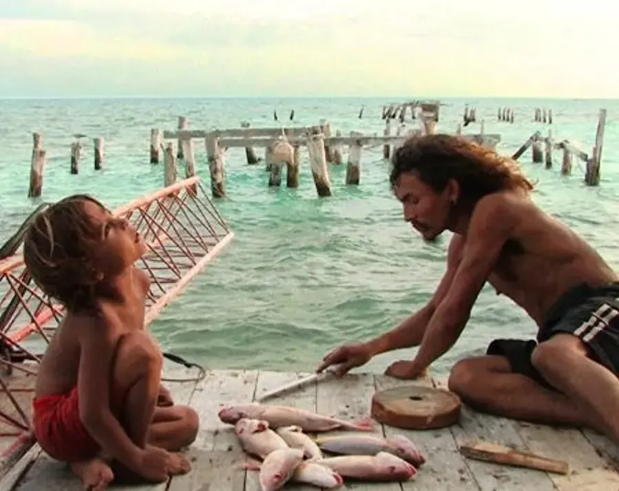 Alamar online