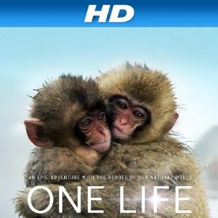 One Life online