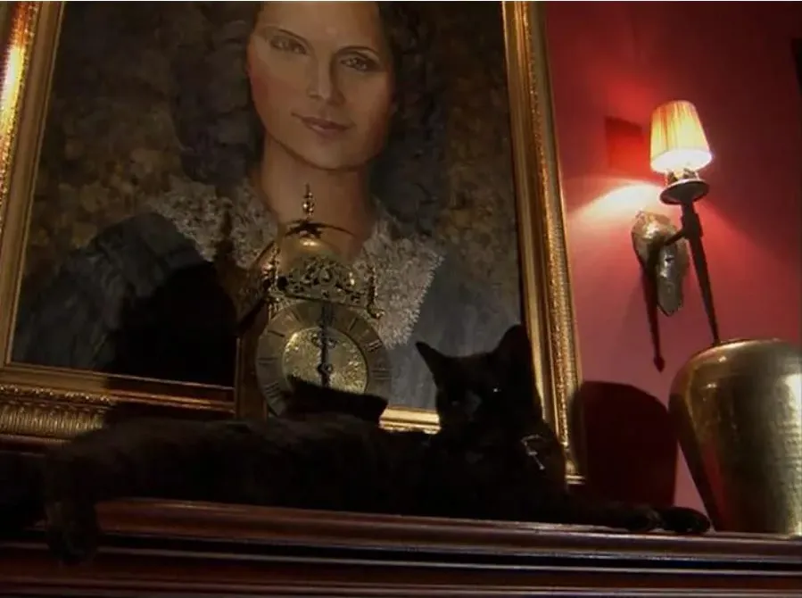 The Good Witch online