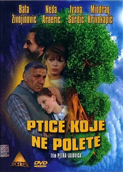 Ptice koje ne polete