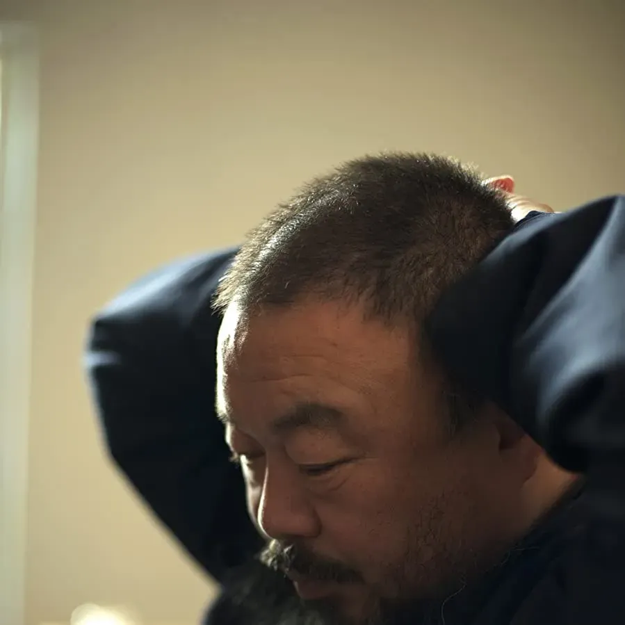 Ai Weiwei: Never Sorry online